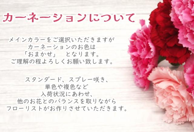 カーネーション 母の日 プレゼント お色について