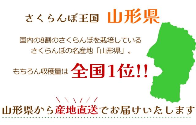佐藤錦 紅秀峰 母の日 産地直送 山形 産直 カーネーション