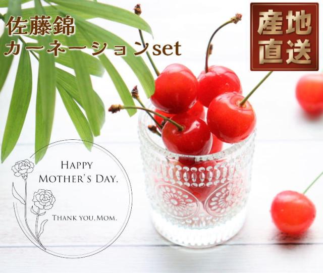 佐藤錦 母の日 産地直送 山形 産直 カーネーション