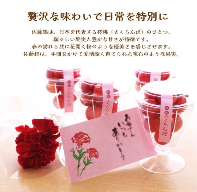 佐藤錦 母の日 産地直送 山形 産直 カーネーション