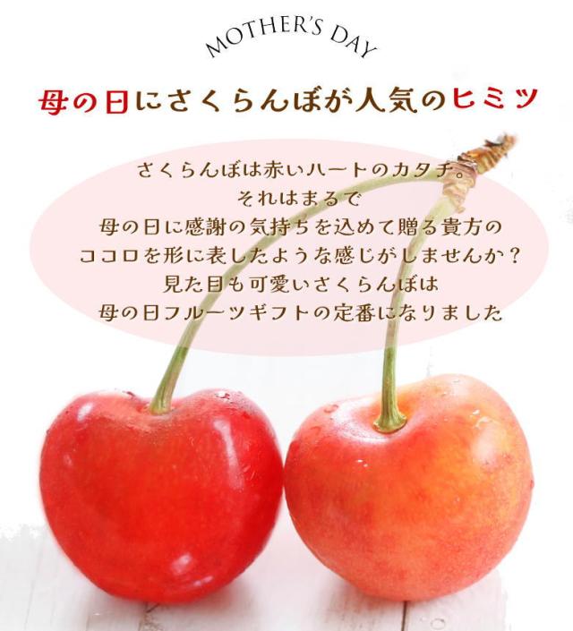 佐藤錦 紅秀峰 母の日 産地直送 山形 産直 カーネーション 