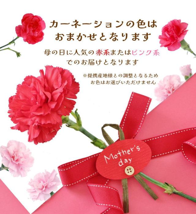 佐藤錦 紅秀峰 母の日 産地直送 山形 産直 カーネーション