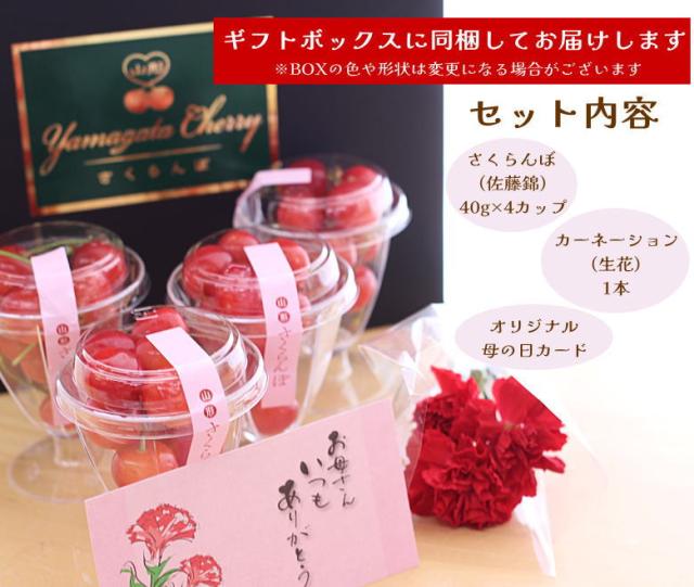 佐藤錦 母の日 産地直送 山形 産直 カーネーション