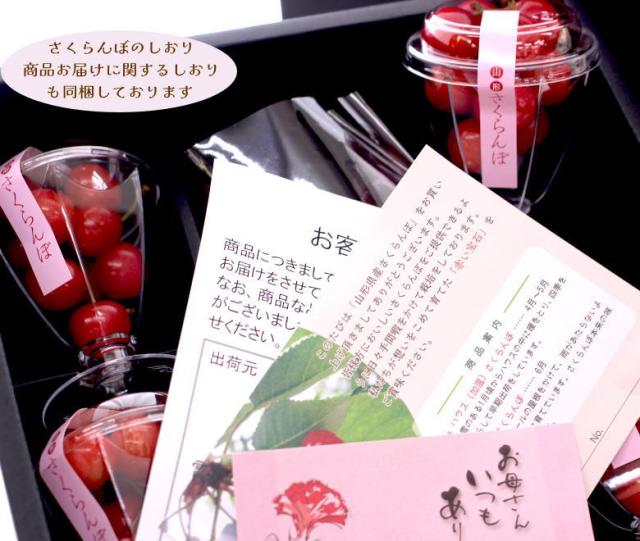 佐藤錦 母の日 産地直送 山形 産直 カーネーション