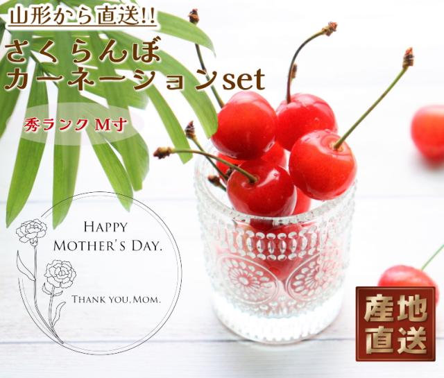 佐藤錦 母の日 産地直送 山形 産直 カーネーション お手頃 サイズ
