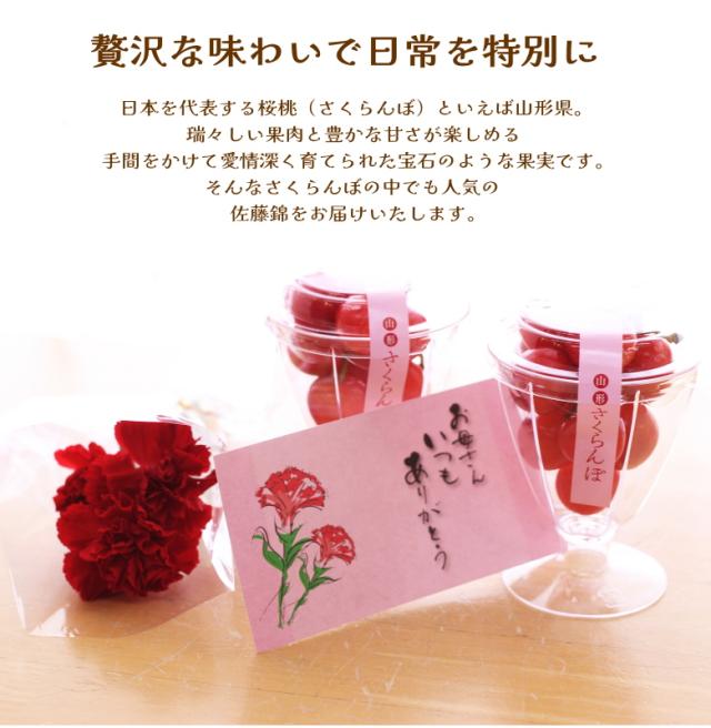 佐藤錦 紅秀峰 母の日 産地直送 山形 産直 カーネーション お手頃 サイズ