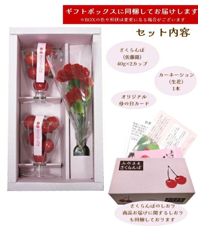 佐藤錦 紅秀峰 母の日 産地直送 山形 産直 カーネーション