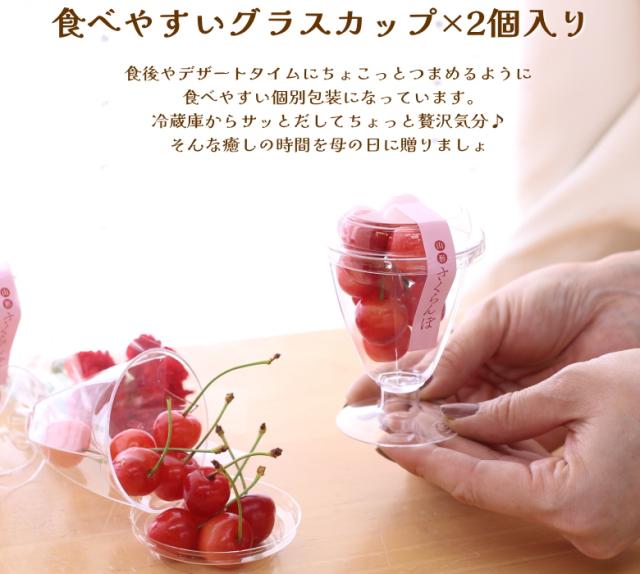 佐藤錦 紅秀峰 母の日 産地直送 山形 産直 カーネーション