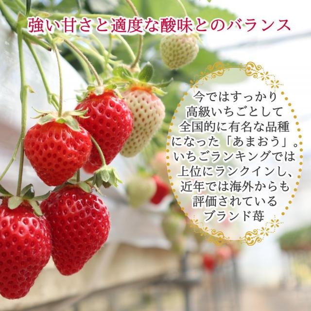 あまおう 美味しい 福岡 博多