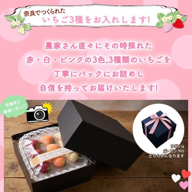 3色いちご