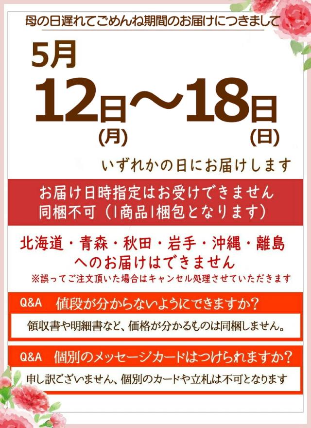 カーネーションメロン