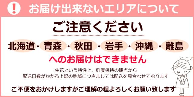 NGエリアハーフ 花