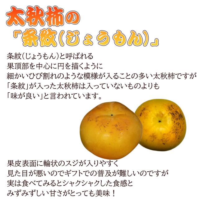 太秋柿