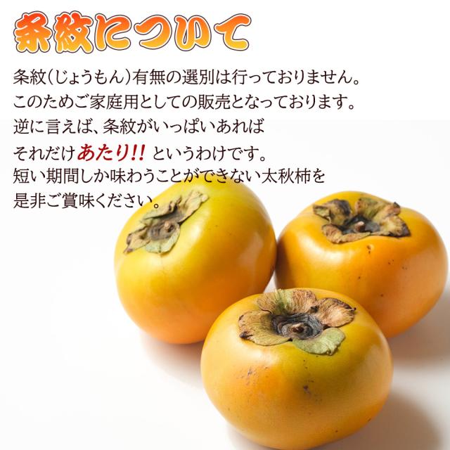 太秋柿