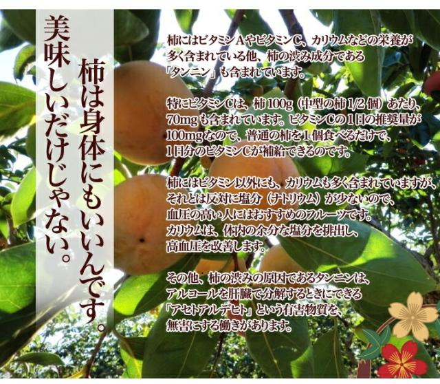 太秋柿