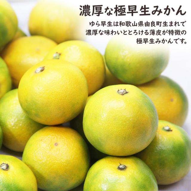 ゆら早生