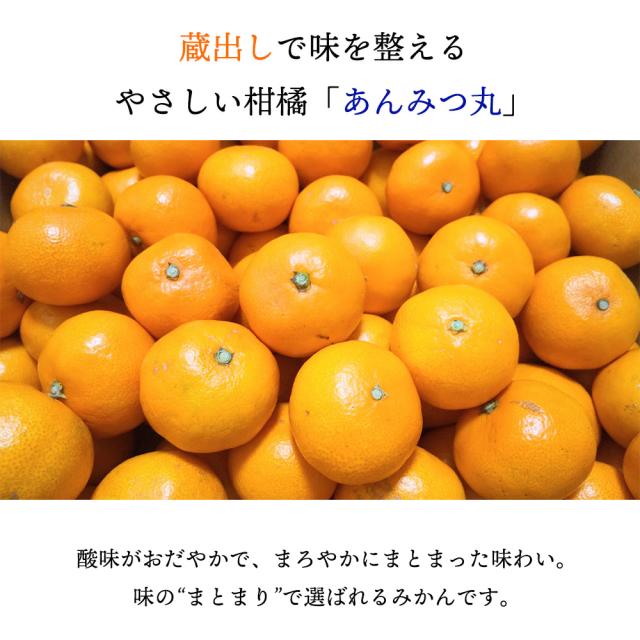 あんみつ丸 みかん