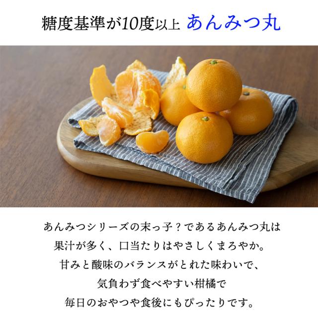 あんみつ丸 みかん