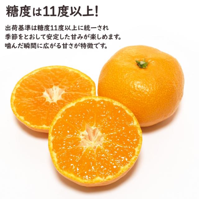 華たちばなみかん