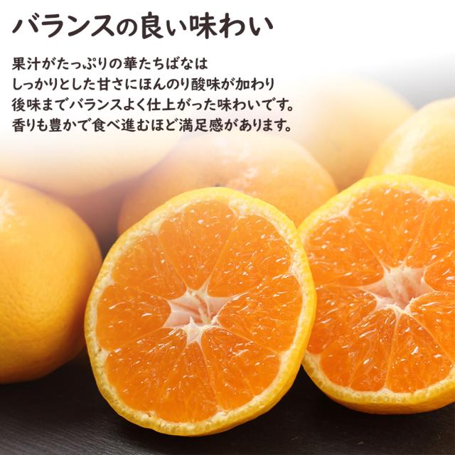 華たちばなみかん