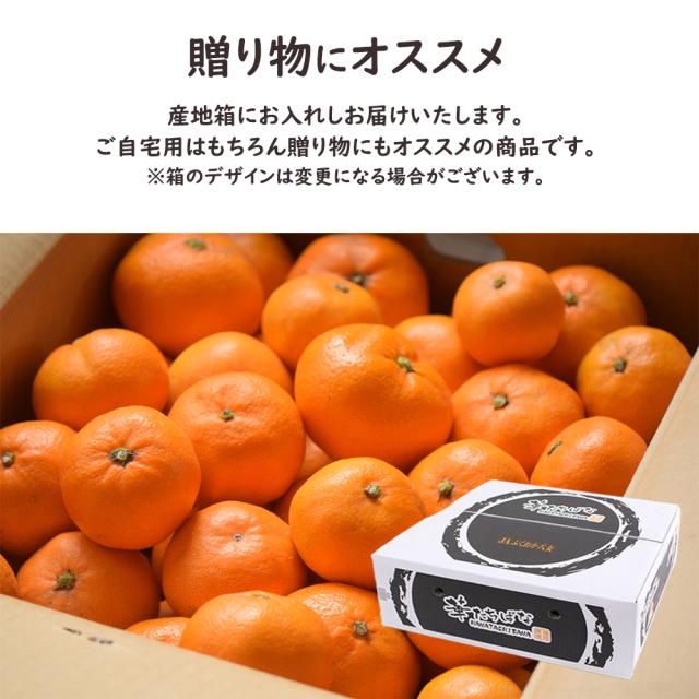 華たちばなみかん