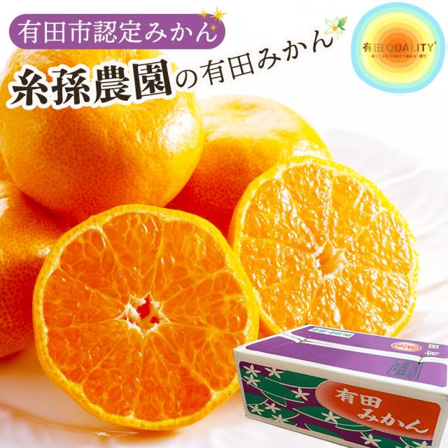 糸孫農園 みかん 有田市認定みかん 有田クオリティ