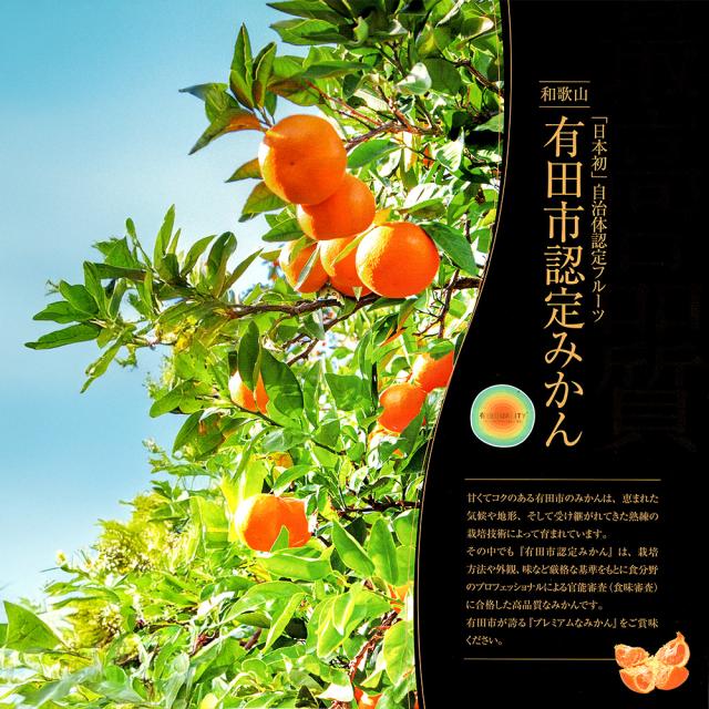 糸孫農園 みかん 有田市認定みかん 有田クオリティ