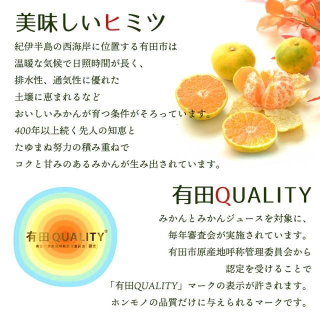 糸孫農園 みかん 有田市認定みかん 有田クオリティ