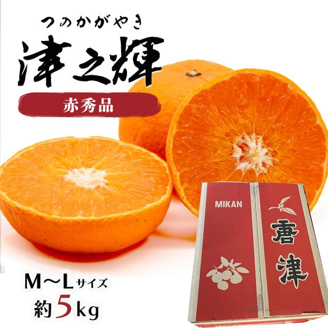 津之輝 津の輝き