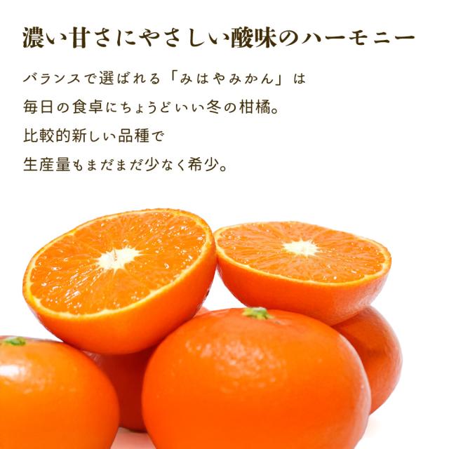 みはや みかん