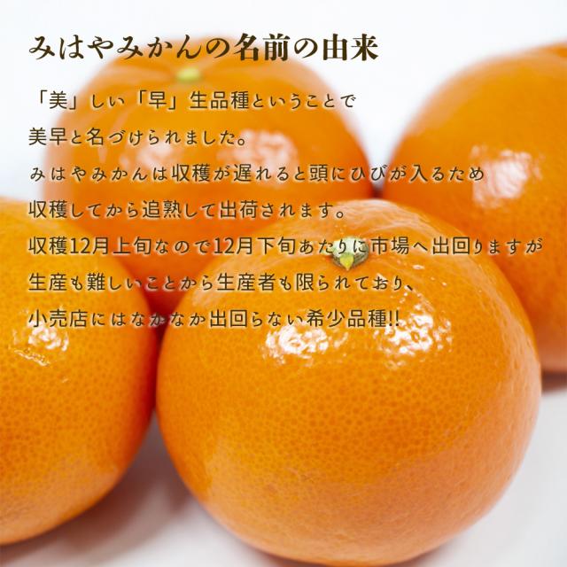 みはや みかん