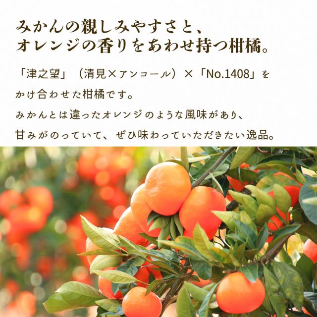 みはや みかん