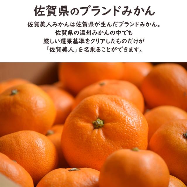 佐賀美人みかん