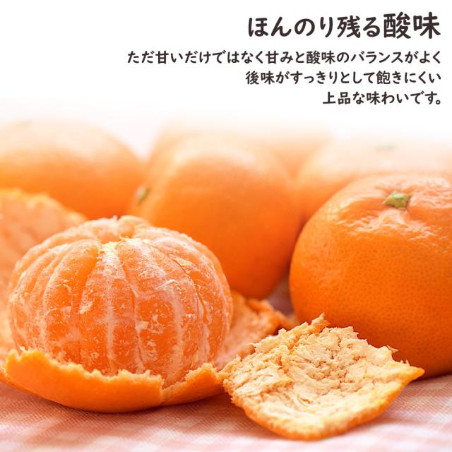 佐賀美人みかん