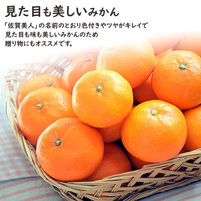 佐賀美人みかん