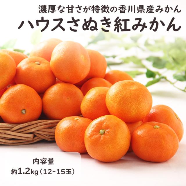 ハウスさぬき紅みかん