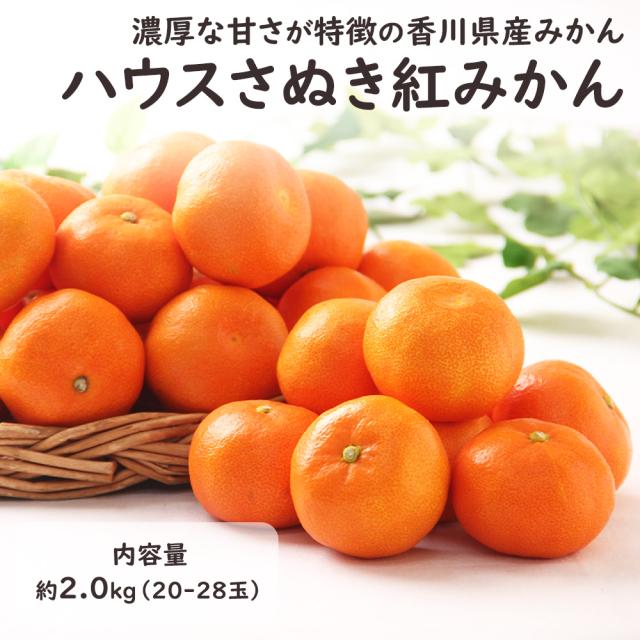 ハウスさぬき紅みかん