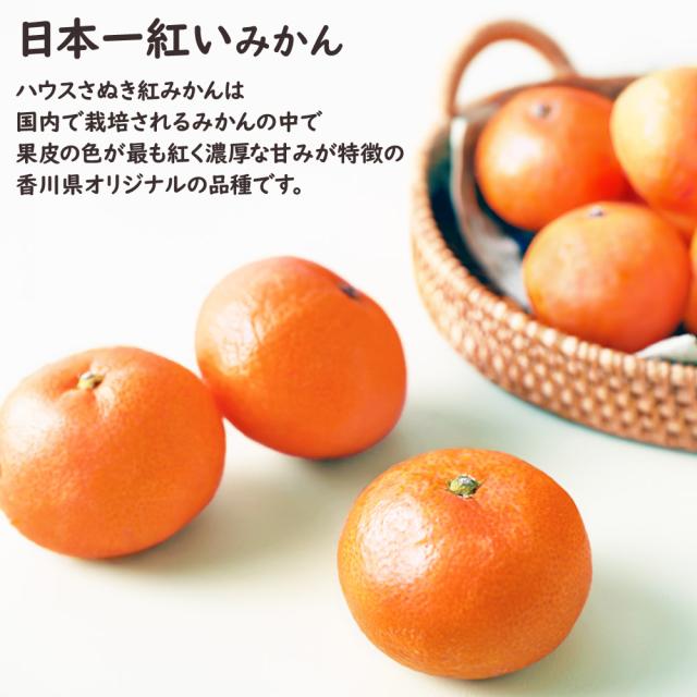 ハウスさぬき紅みかん