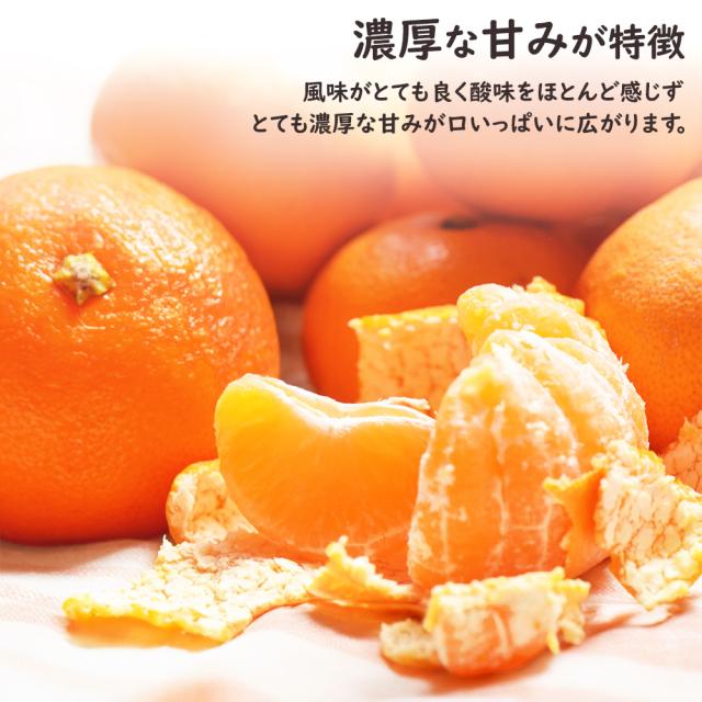 ハウスさぬき紅みかん