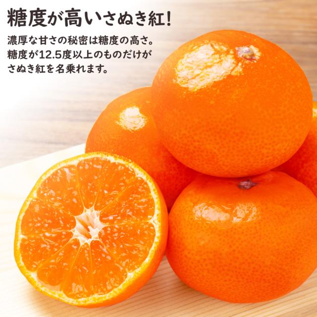 ハウスさぬき紅みかん