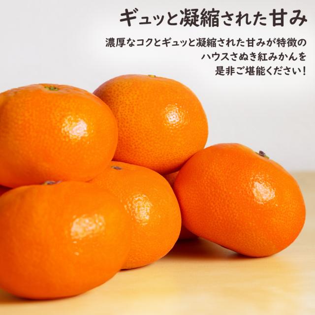 ハウスさぬき紅みかん