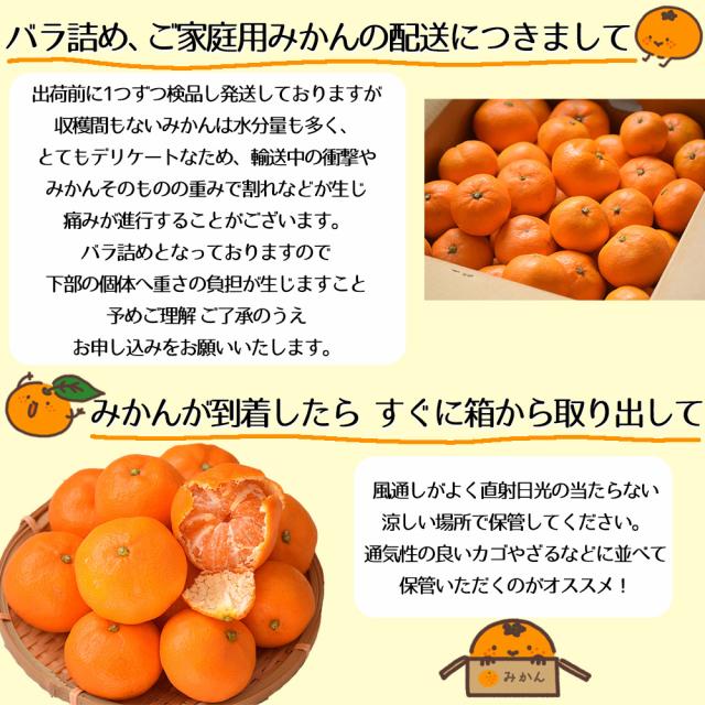 みかんバラ詰めについて