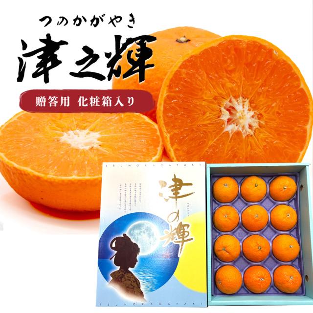 津之輝 津の輝き