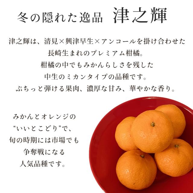 津之輝 津の輝き