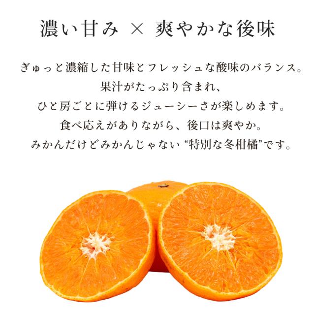 津之輝 津の輝き