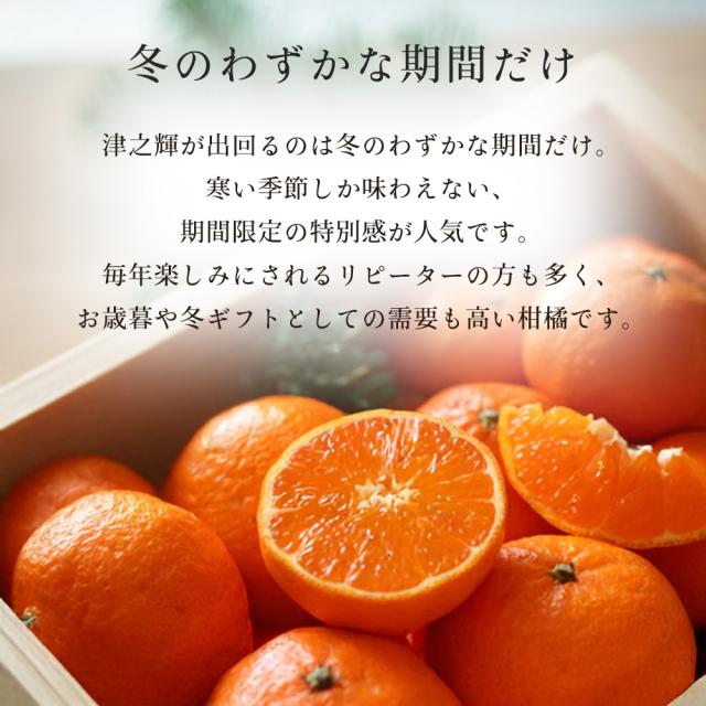 津之輝 津の輝き