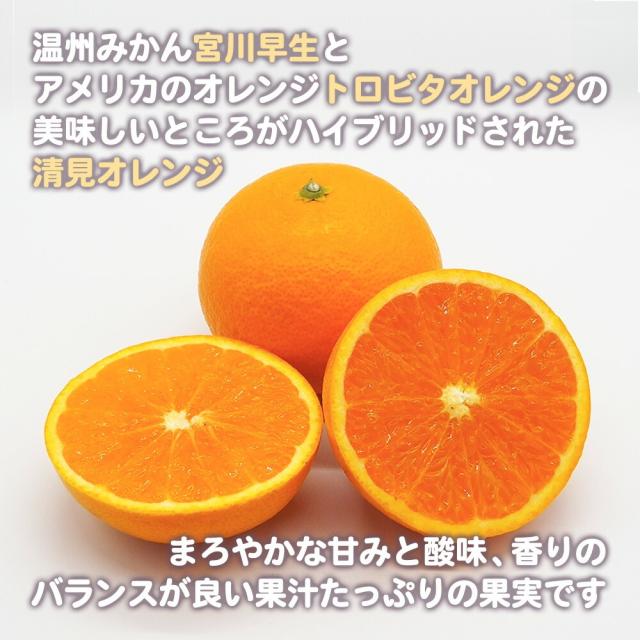 清見オレンジ