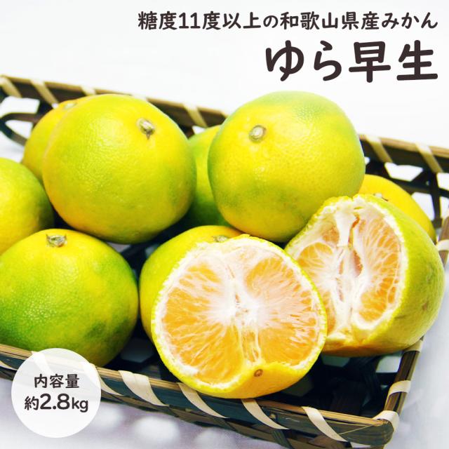 ゆら早生