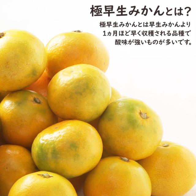 ゆら早生