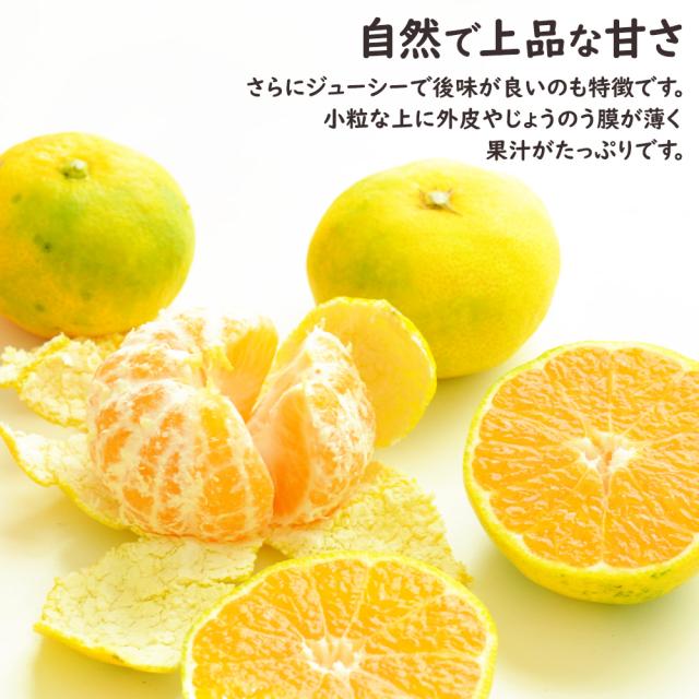 ゆら早生